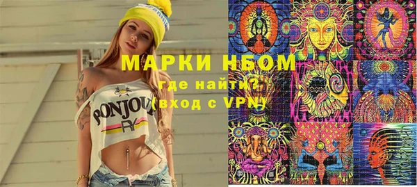 прущие грибы Белокуриха