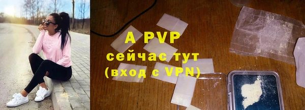 прущие крисы Пересвет