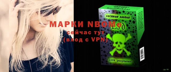 прущие грибы Белокуриха