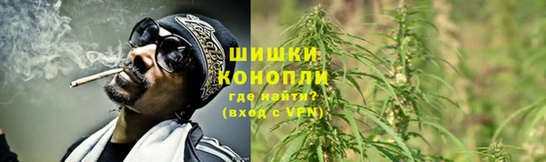 прущие грибы Белокуриха