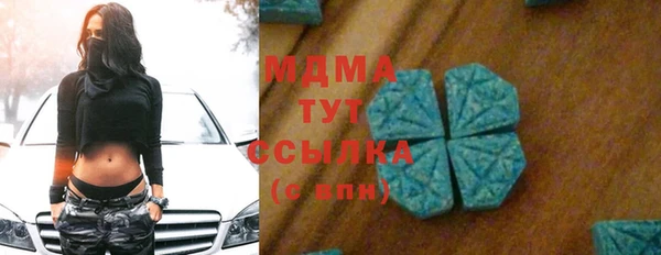 прущие грибы Белокуриха