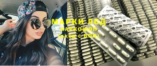 прущие грибы Белокуриха