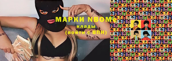 прущие грибы Белокуриха