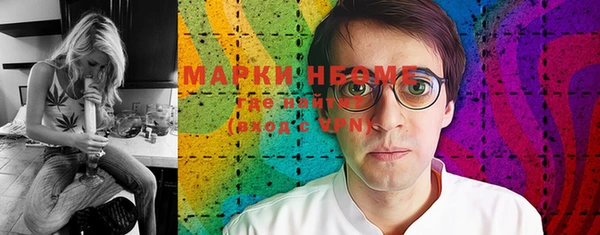 прущие грибы Белокуриха